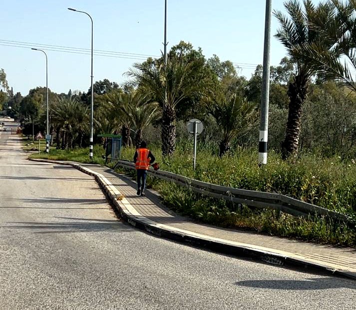 ניכוש עשבייה בכיכרות
