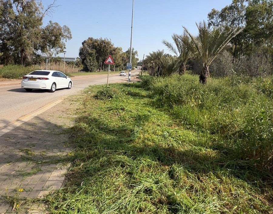 הכנה לקיץ
