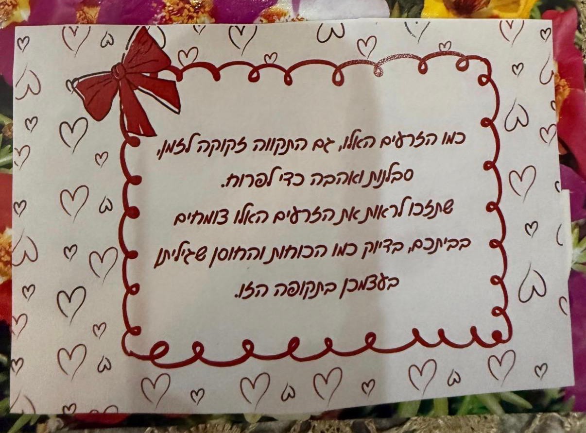 תמונת כתבה