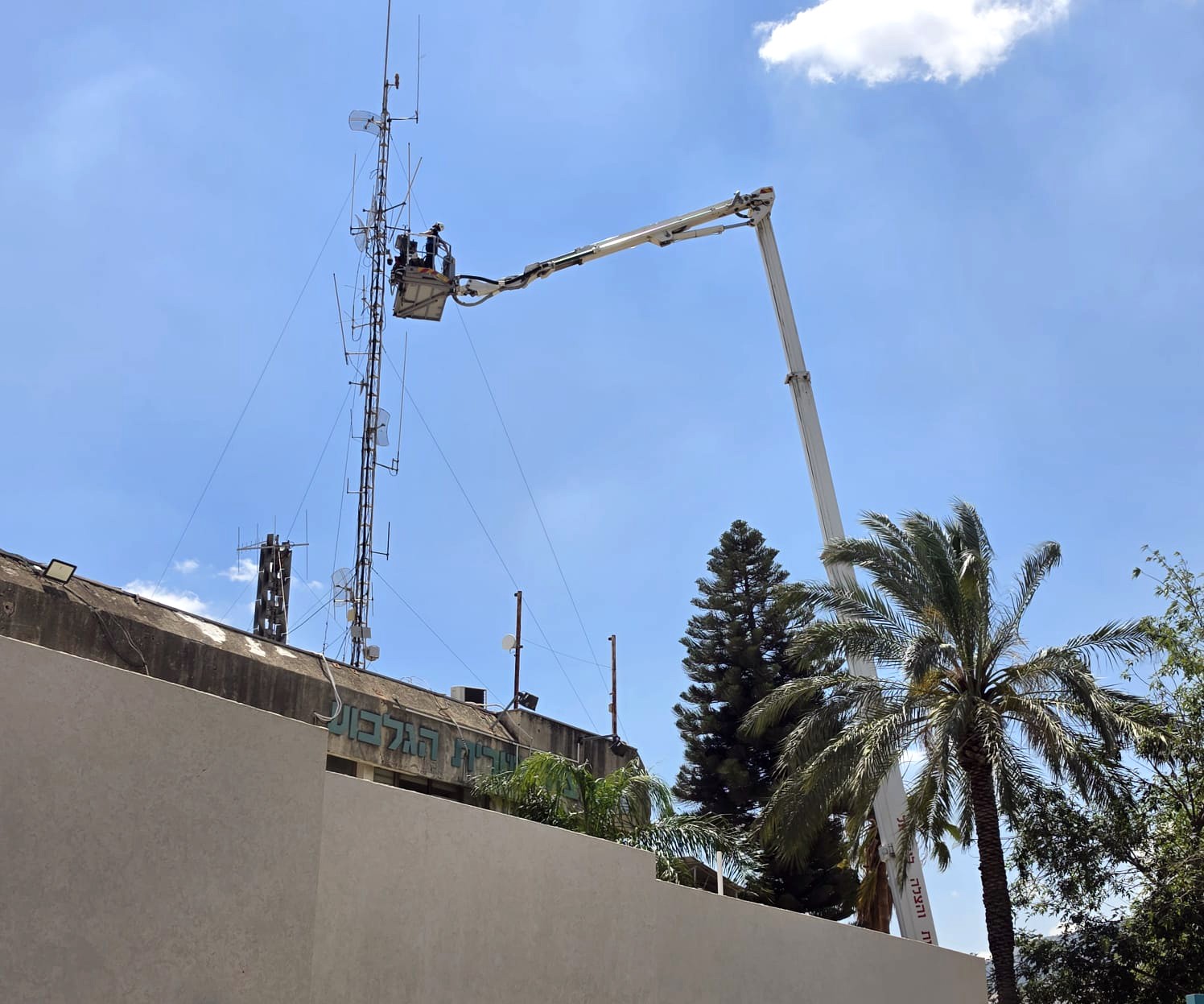 תמונת כתבה