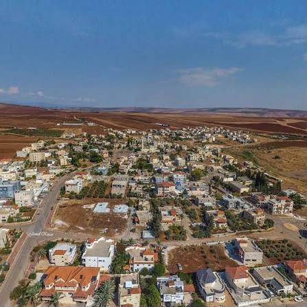 תמונת כתבה