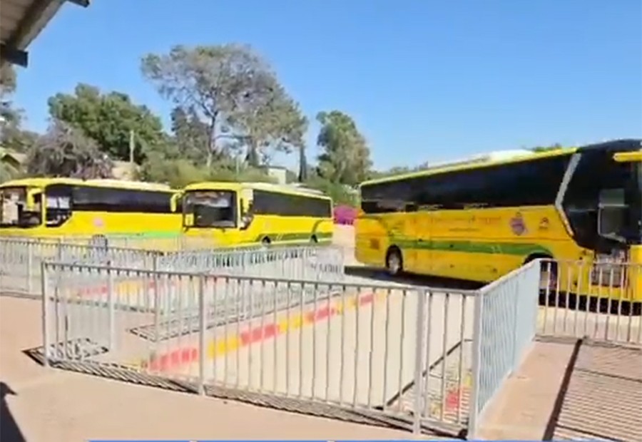 תמונת כתבה