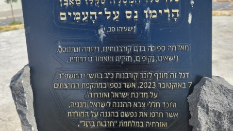 467523645_1005719878258032_2311859170767963884_n.jpg