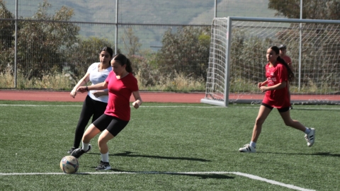 IMG_9353 copy.jpg