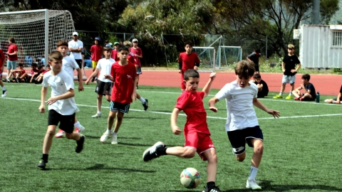 IMG_9577 copy.jpg