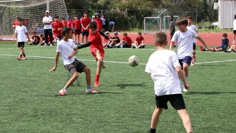 IMG_9593 copy.jpg