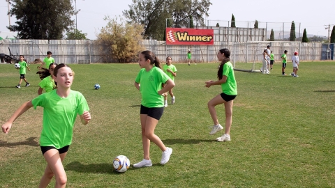 IMG_9554.jpg